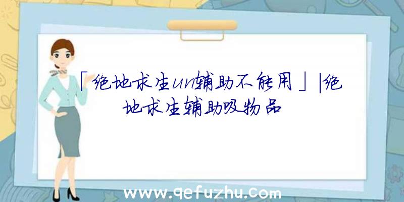 「绝地求生un辅助不能用」|绝地求生辅助吸物品